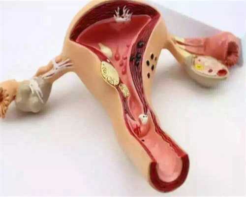 汕头大学医学院第一附属医院辅助生殖技术解析：能否进行第三代供卵试管婴儿？